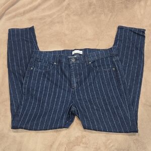 Loft Size 32 14 Skunny Blue Pinstripe Jeans